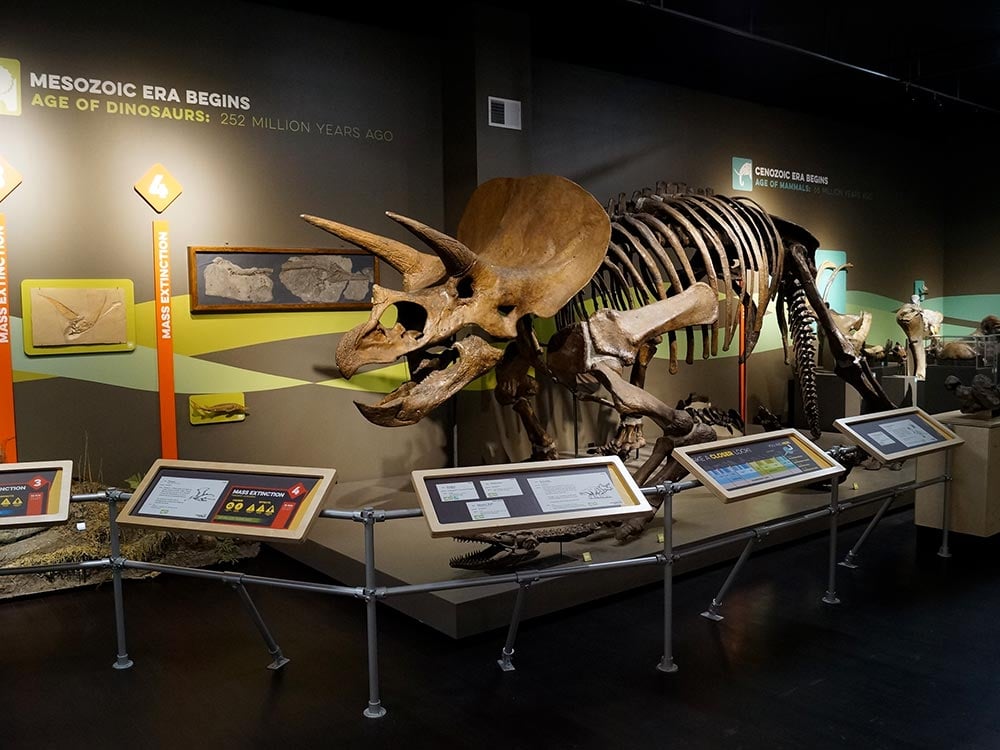 Nature & Science Centers